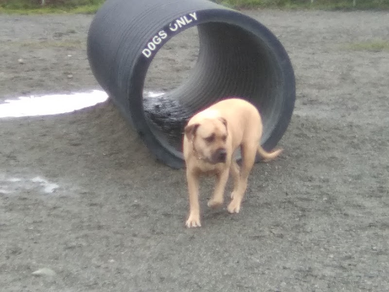 Beban Park Off-Leash Dog Park dog park in Nanaimo, British Columbia
