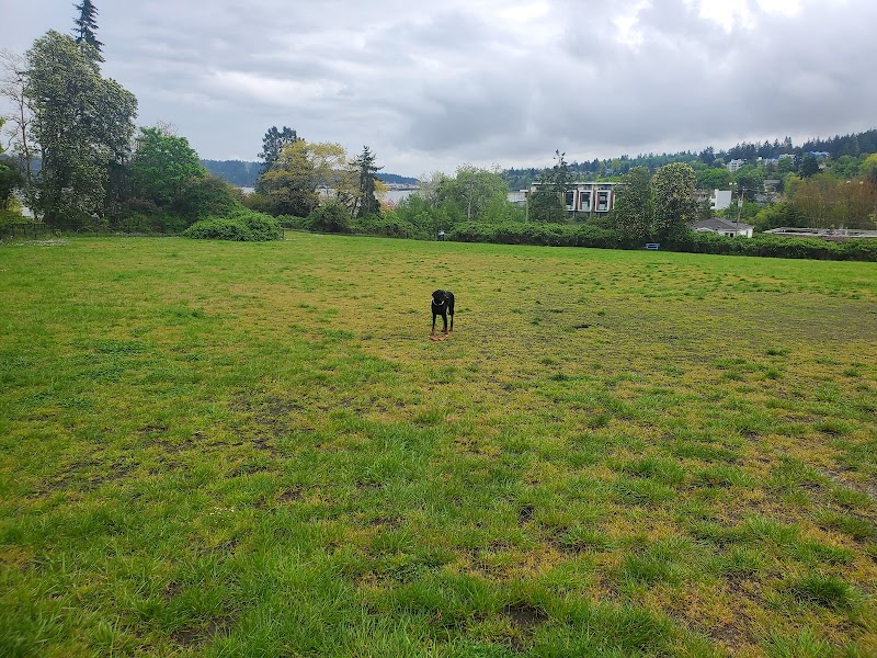 Wardropper Park dog park in Nanaimo, British Columbia