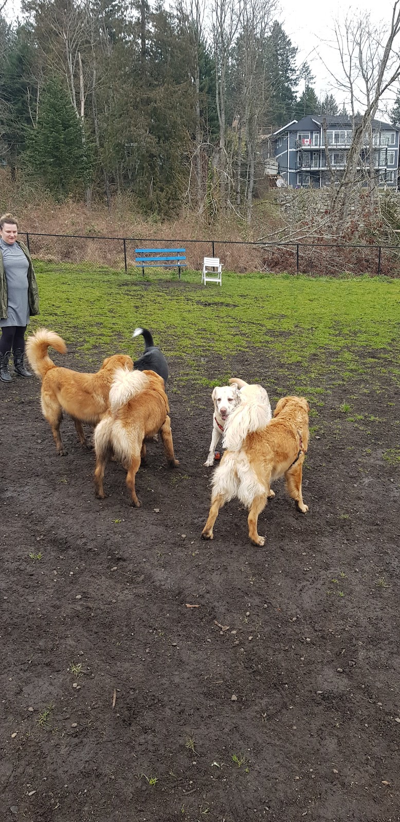 Wardropper Park dog park in Nanaimo, British Columbia