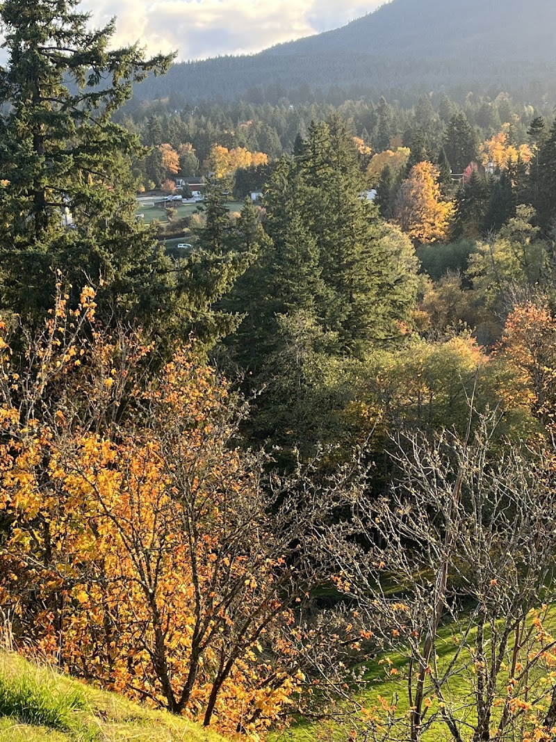 Northfield Rotary Lookout Park dog park in Nanaimo, British Columbia
