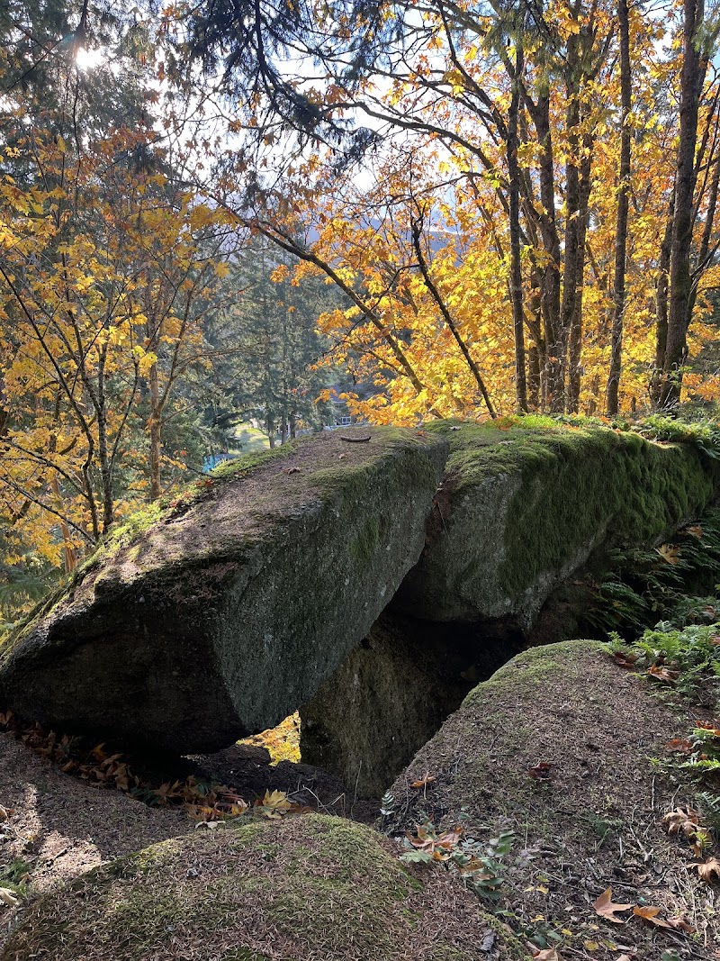Northfield Rotary Lookout Park dog park in Nanaimo, British Columbia
