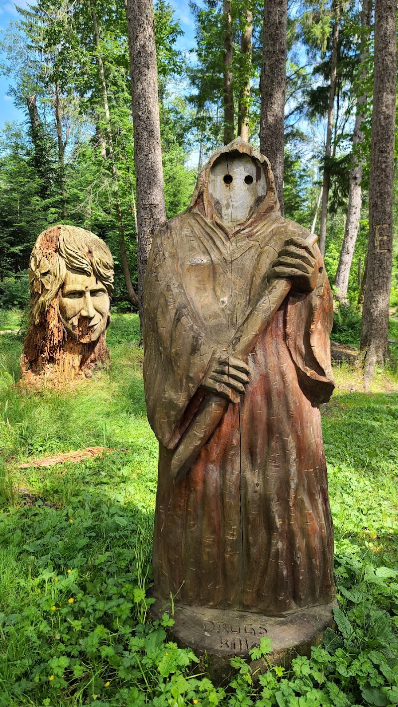 Dog Agility Park dog park in Campbell River, British Columbia