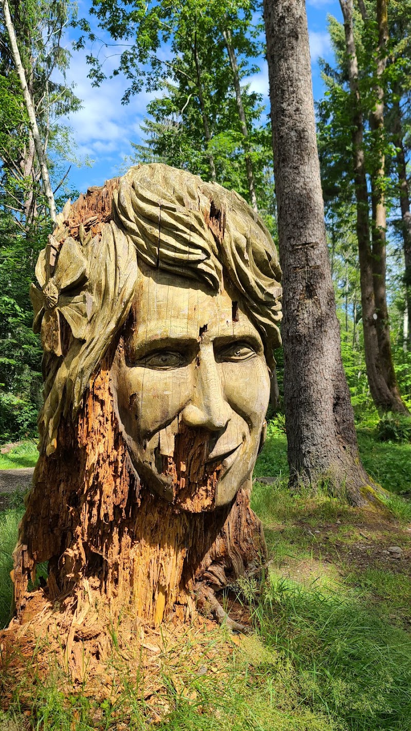 Dog Agility Park dog park in Campbell River, British Columbia