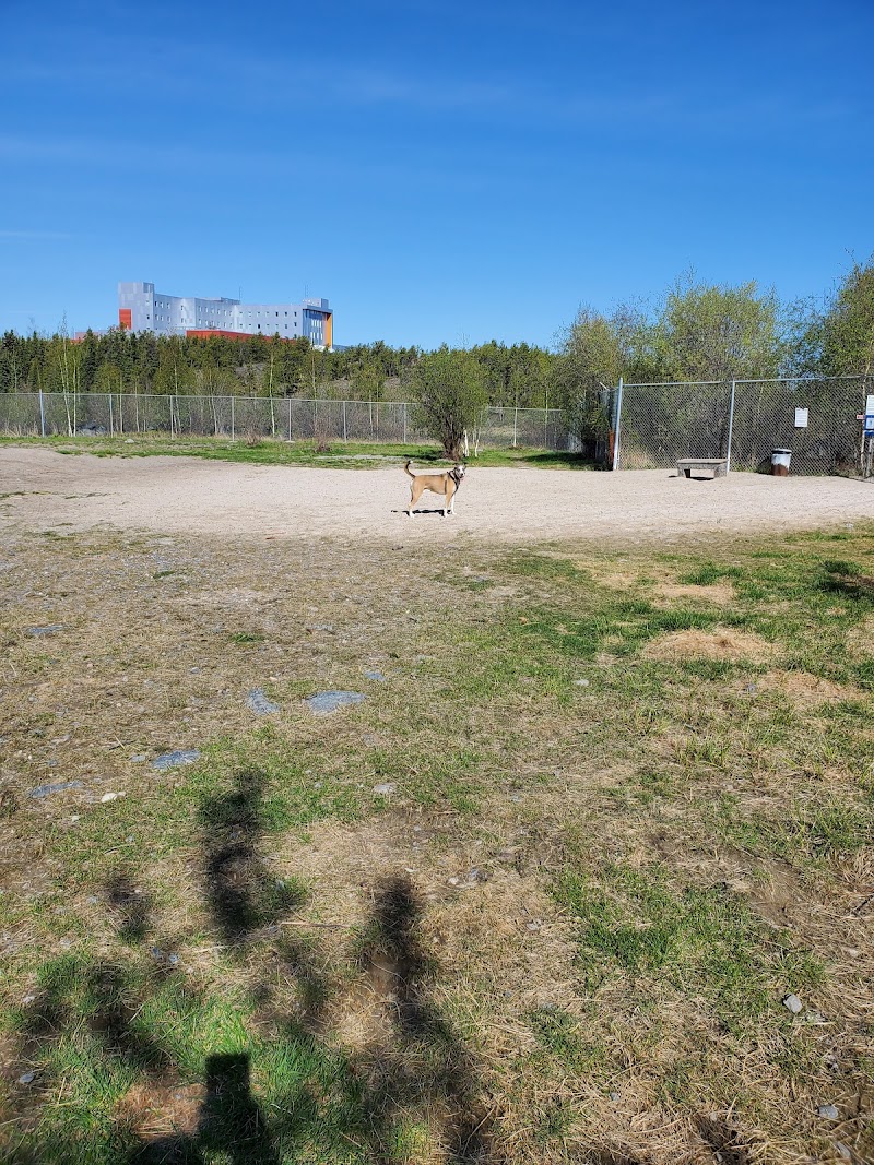 Dog Park dog park in Yellowknife, Northwest Territories