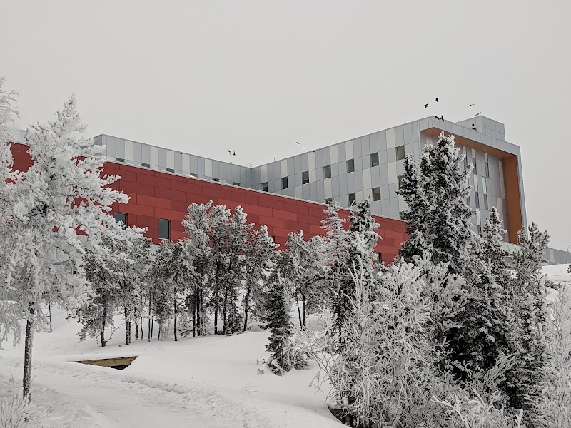 Dog Park dog park in Yellowknife, Northwest Territories