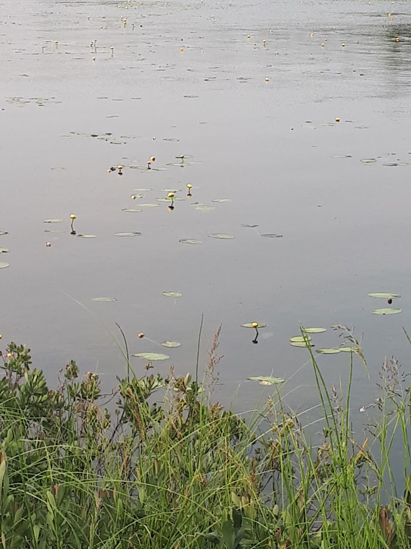 Dog Park dog park in Yellowknife, Northwest Territories