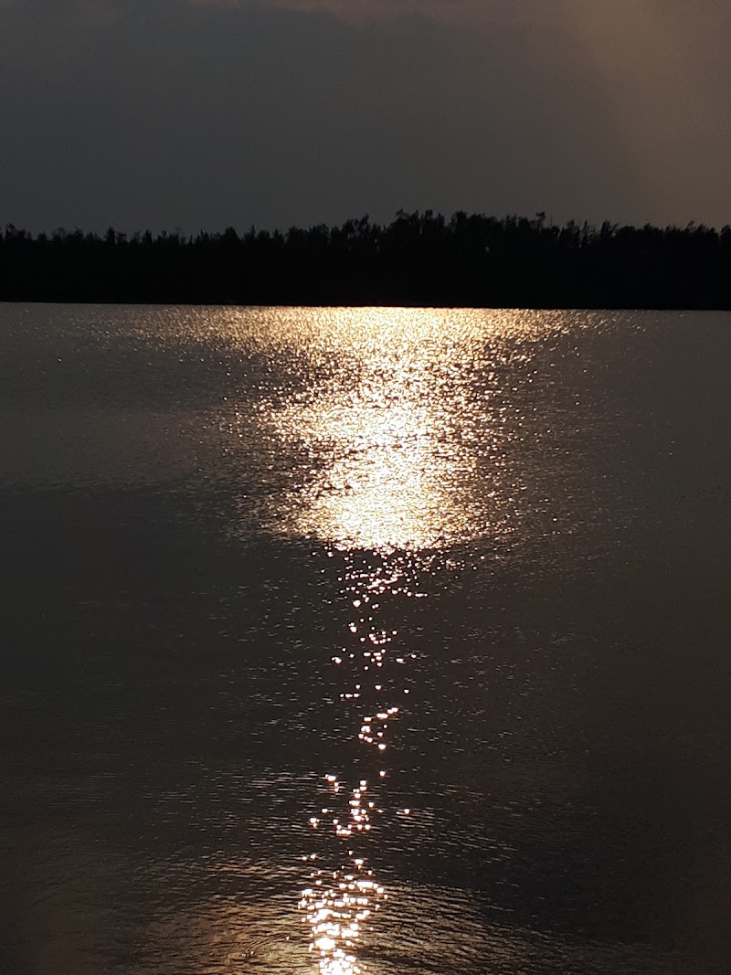 Dog Park dog park in Yellowknife, Northwest Territories