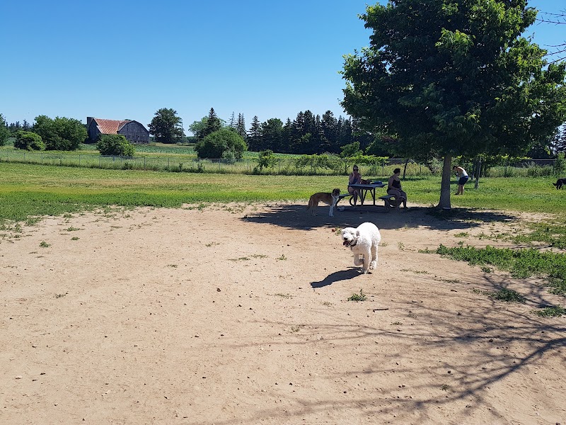 Maple Grove Dog Park dog park in Breslau, Ontario