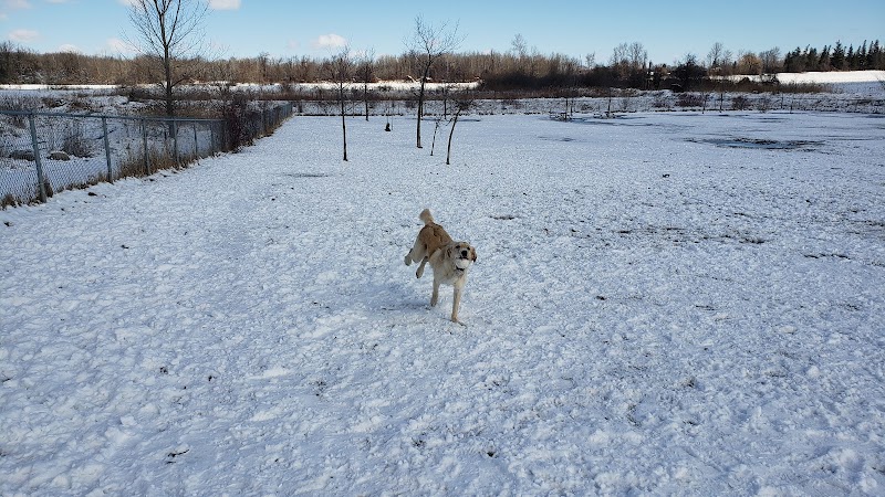 Maple Grove Dog Park dog park in Breslau, Ontario