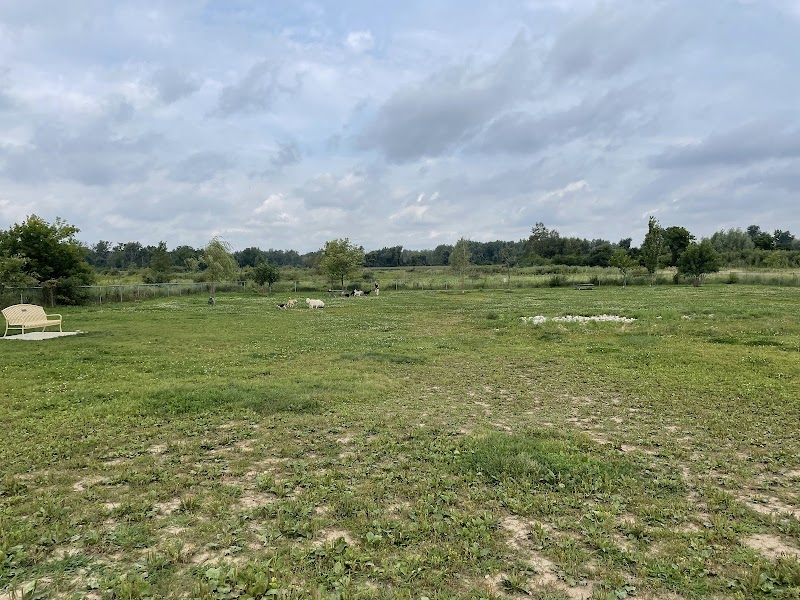 Maple Grove Dog Park dog park in Breslau, Ontario