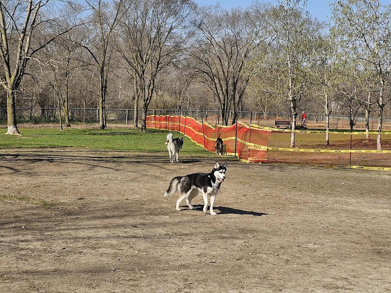 Dogford Park dog park in Brantford, Ontario