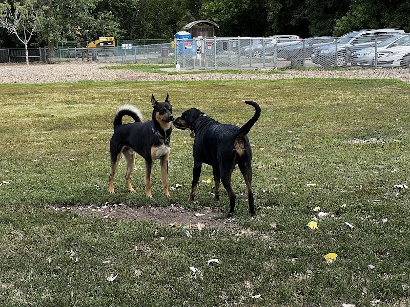 Dogford Park dog park in Brantford, Ontario