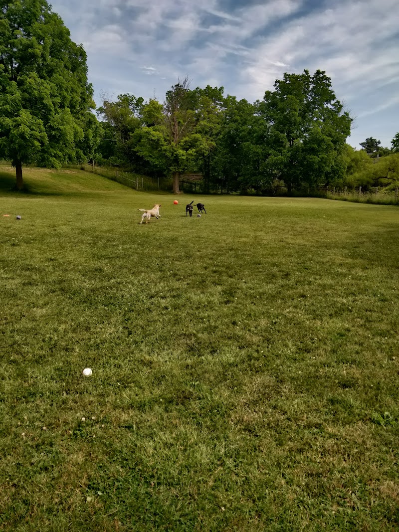 K9 Fun Zone dog park in Caledonia, Ontario