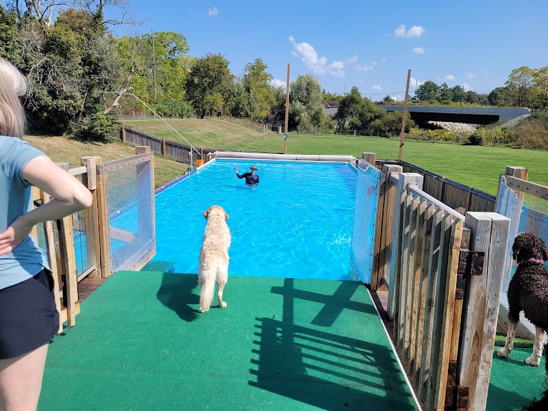 K9 Fun Zone dog park in Caledonia, Ontario