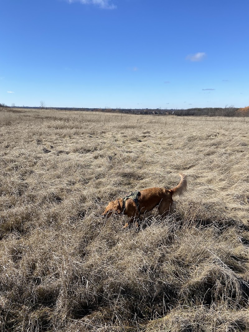 Heritage Green Community Dog Park dog park in Hamilton, Ontario