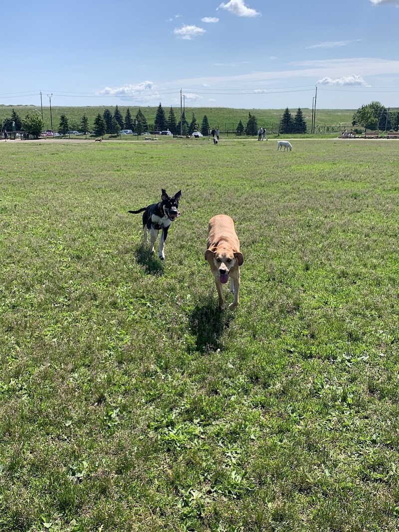 Heritage Green Community Dog Park dog park in Hamilton, Ontario
