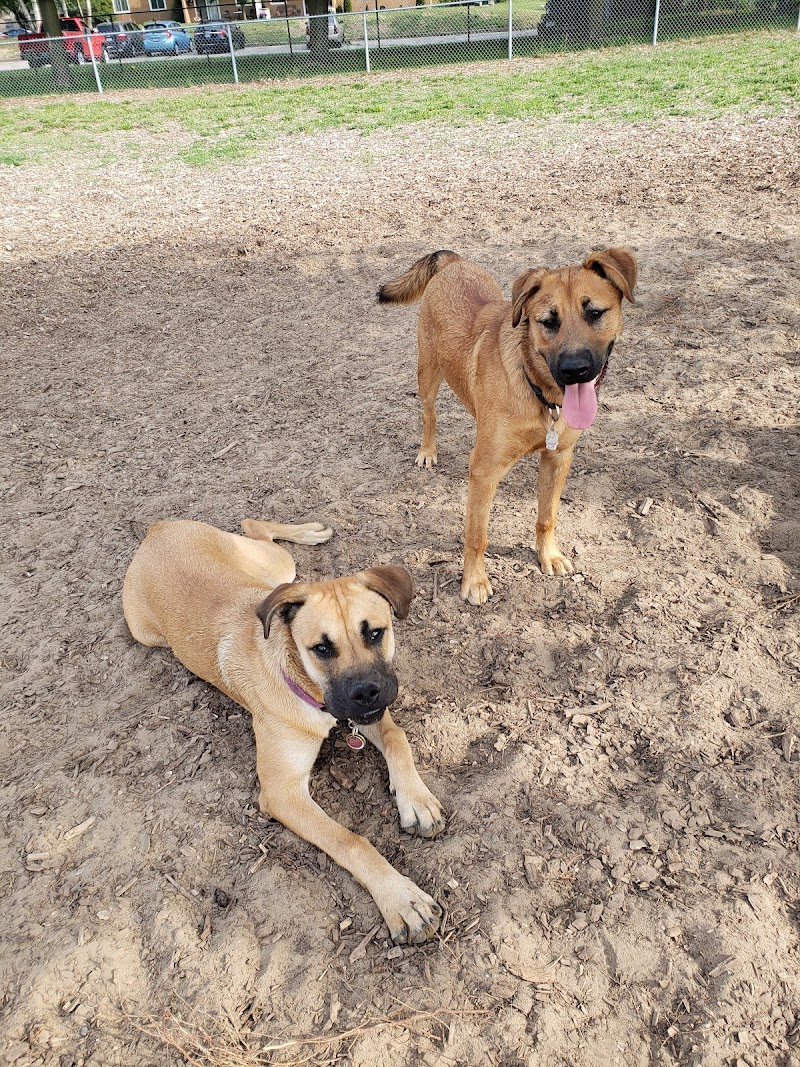 Tillsonburg Dog Park dog park in Tillsonburg, Ontario