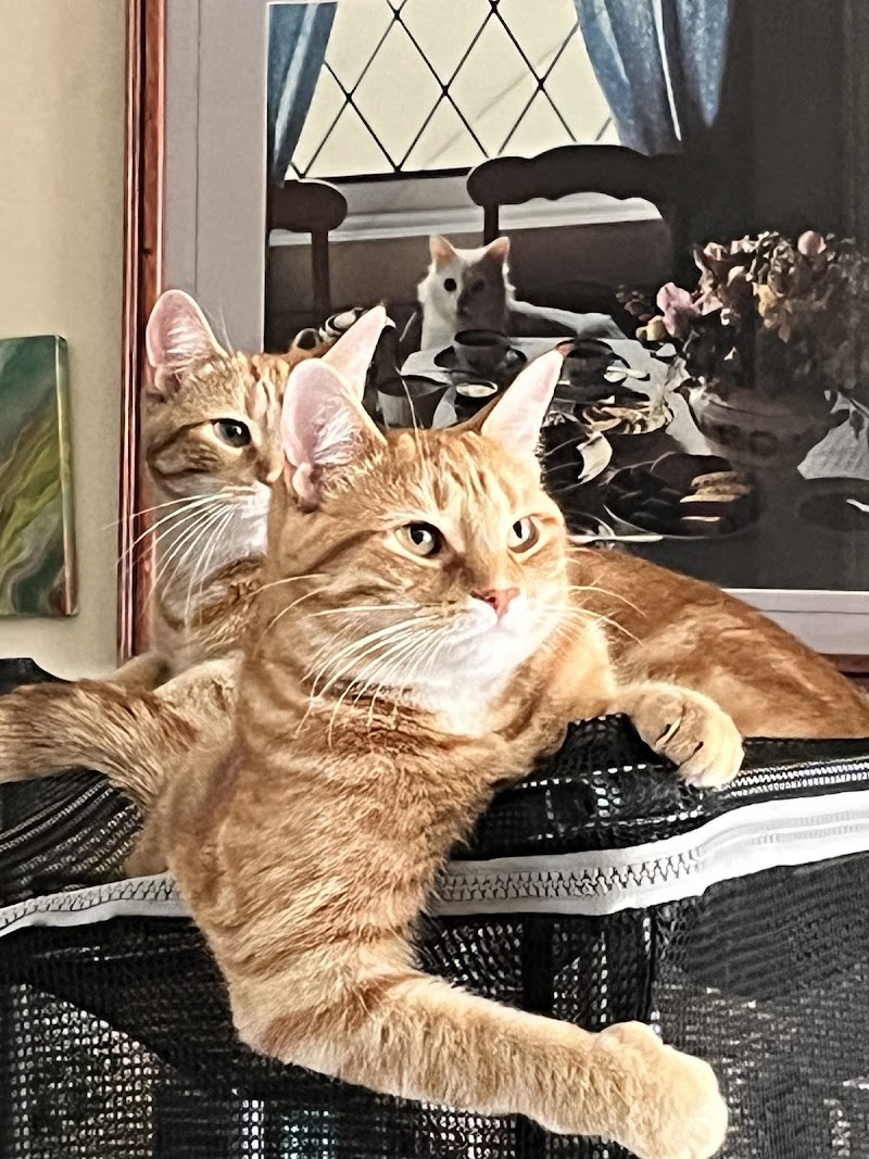 Hanover Rotary Dog Park dog park in Hanover, Ontario