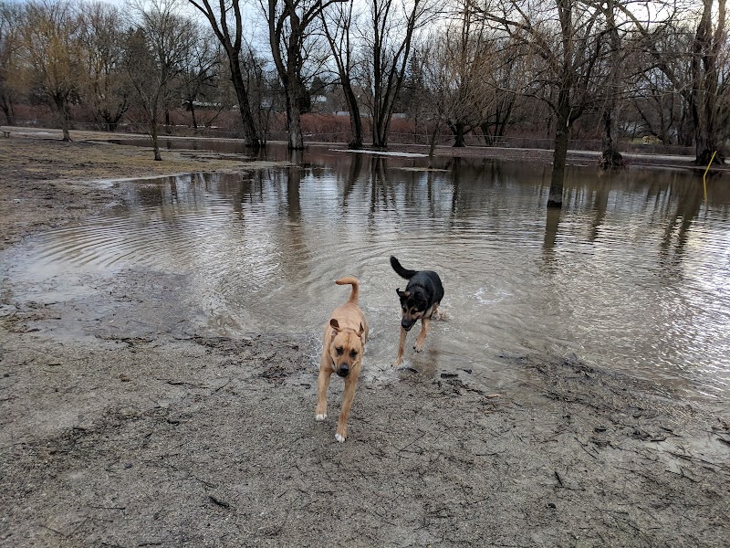 Henry Street Off-Lead Dog Park dog park in Woodstock, Ontario