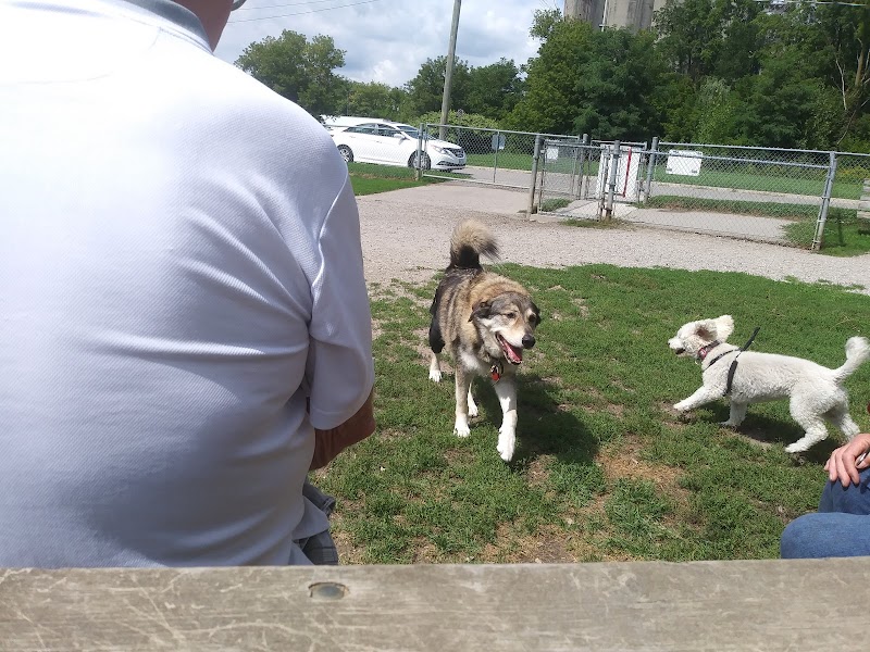 Henry Street Off-Lead Dog Park dog park in Woodstock, Ontario
