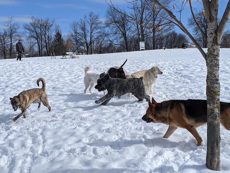 Off Leash Dog Park dog park in Fergus, Ontario