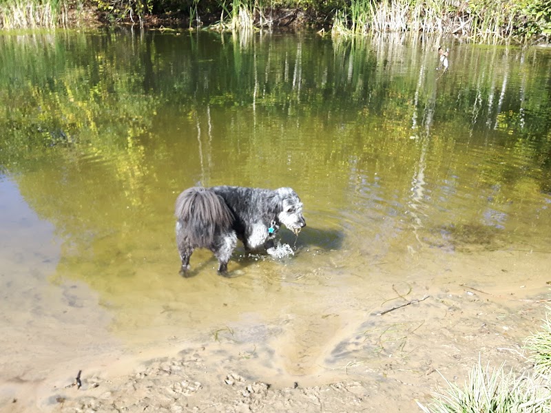 Off Leash Dog Park dog park in Fergus, Ontario