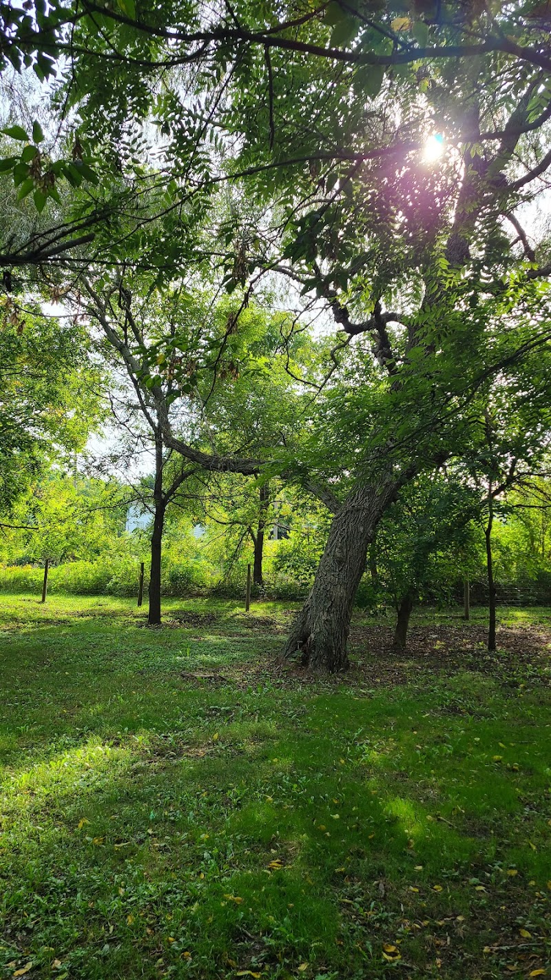 Ingersoll Off-leash Dog Park dog park in Ingersoll, Ontario