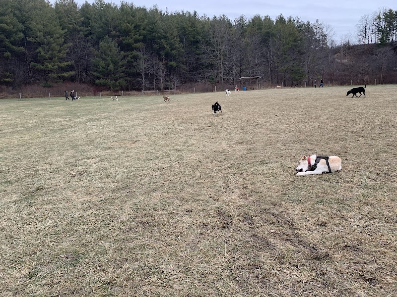 Kettle Creek Dog Park dog park in St Thomas, Ontario