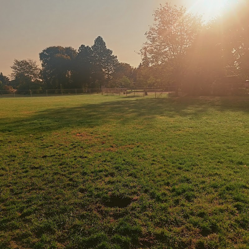 Alliston Off-Leash Dog Park dog park in Alliston, Ontario