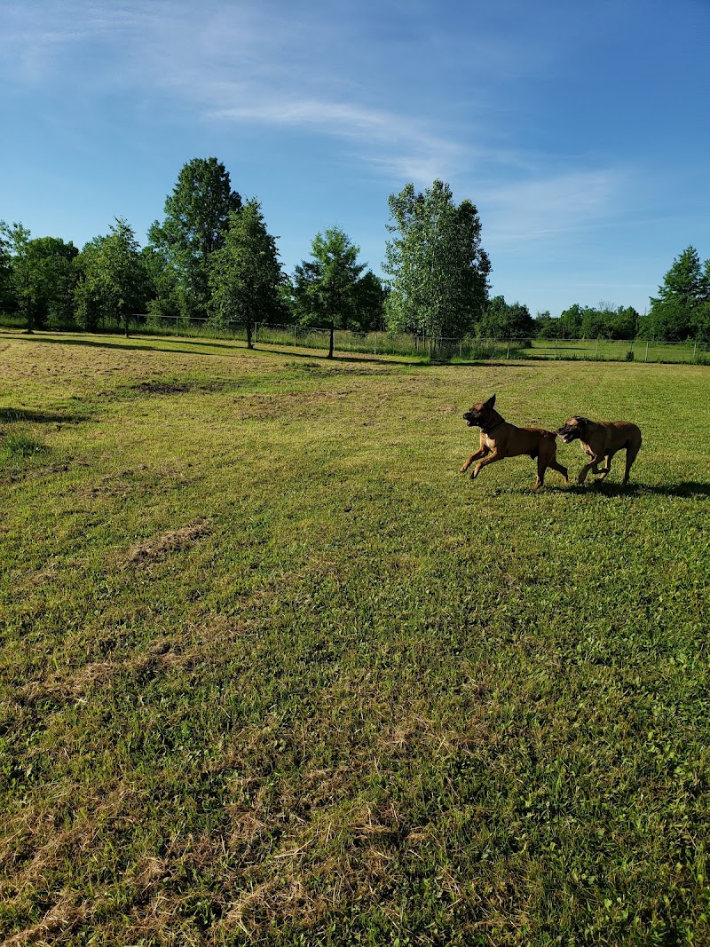 Burgoyne Woods Dog Park dog park in St. Catharines, Ontario