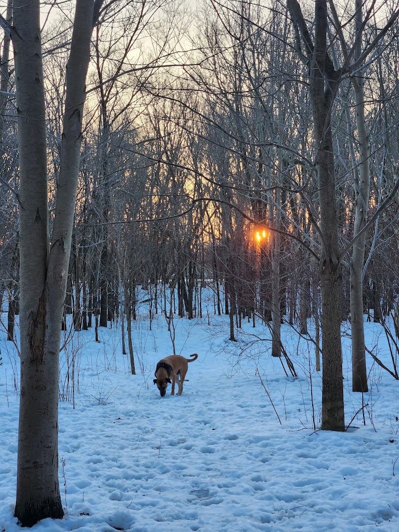 Stoney Creek Off-Leash Dog Park dog park in London, Ontario