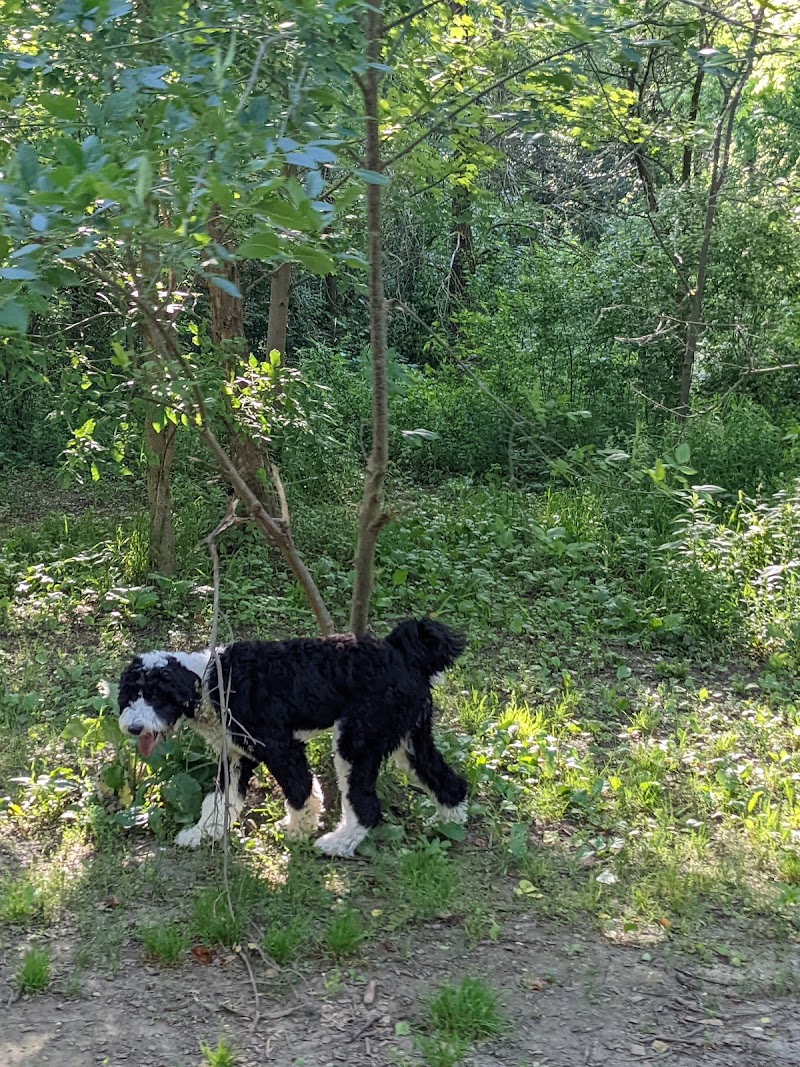 Stoney Creek Off-Leash Dog Park dog park in London, Ontario