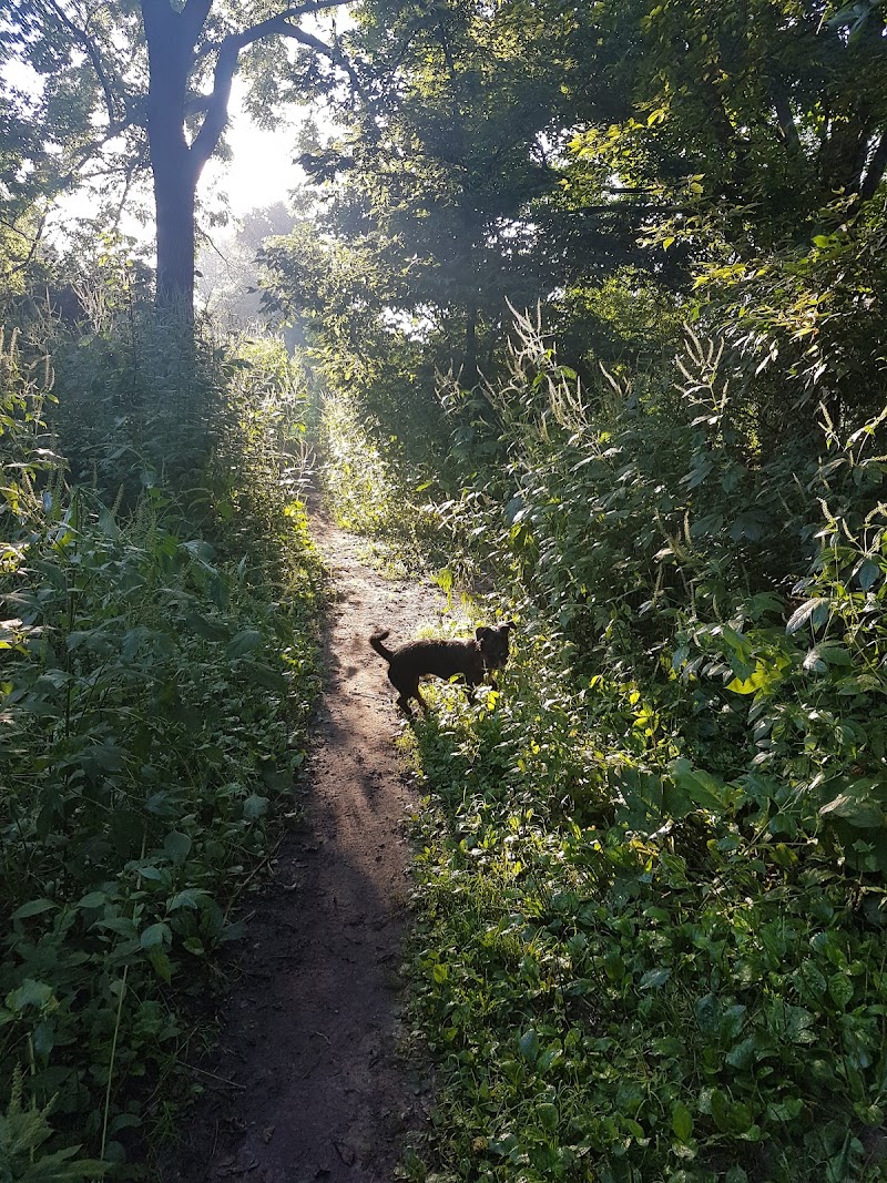 Stoney Creek Off-Leash Dog Park dog park in London, Ontario