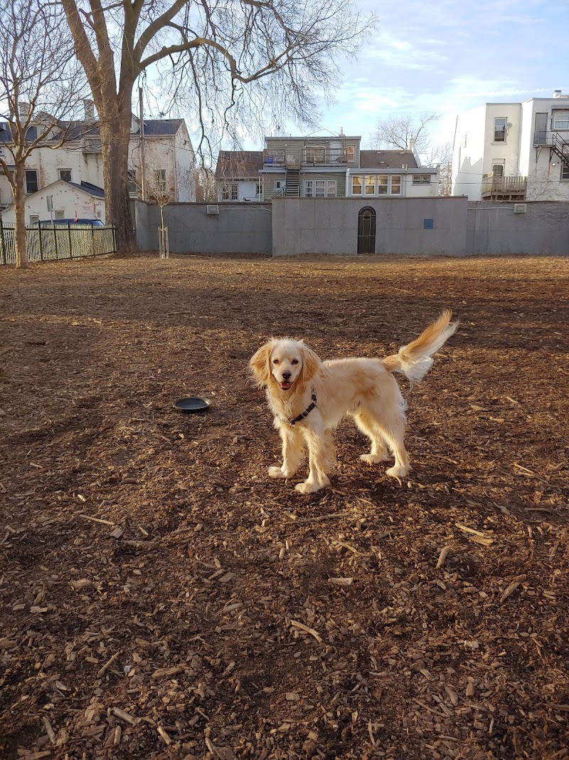 Campbell Memorial Park - Off Leash Dog Park dog park in London, Ontario
