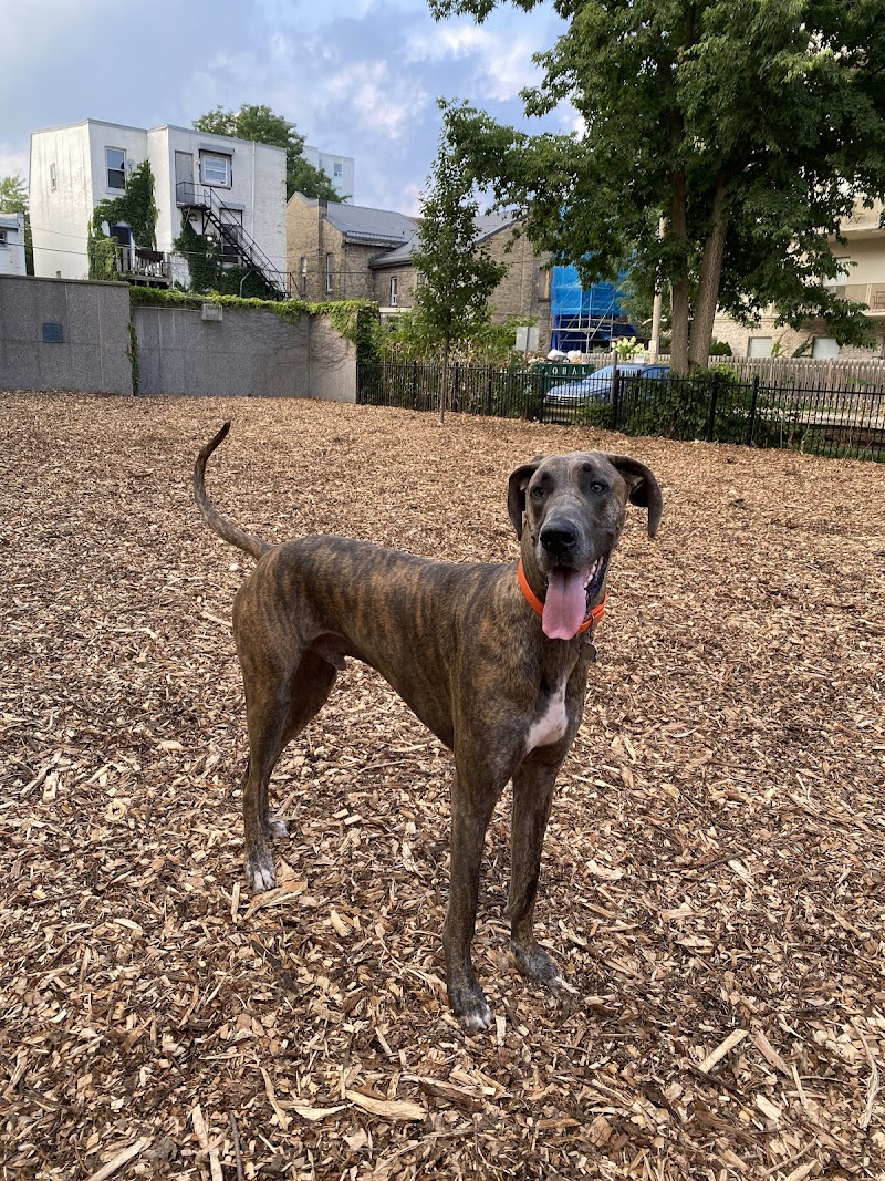 Campbell Memorial Park - Off Leash Dog Park dog park in London, Ontario