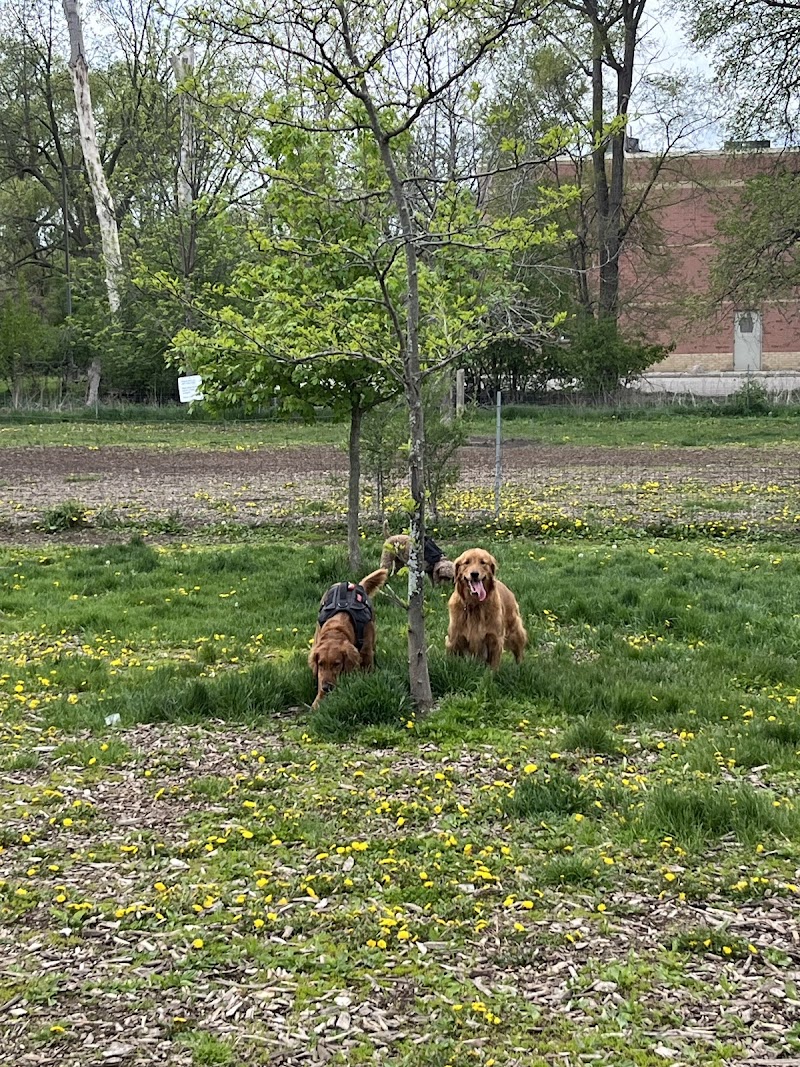 Caesars Dog Park dog park in London, Ontario