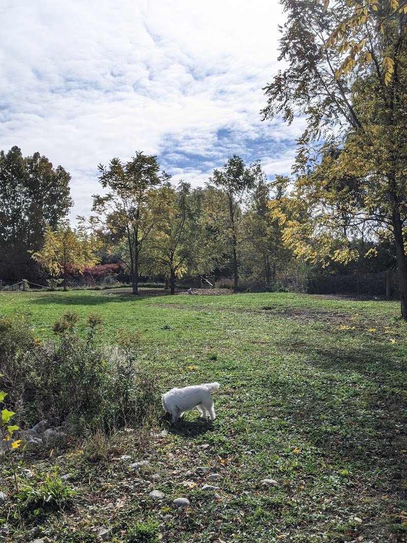 Caesars Dog Park dog park in London, Ontario