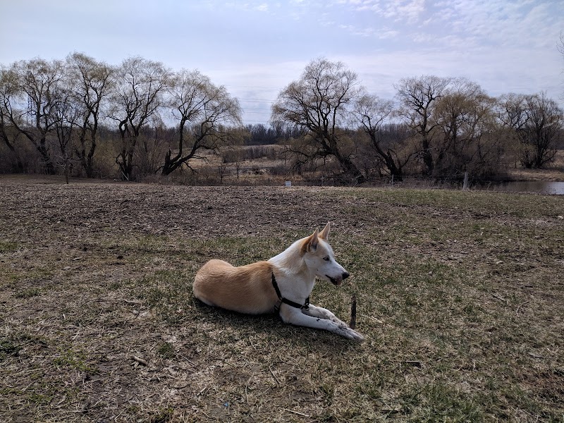 Caesars Dog Park dog park in London, Ontario