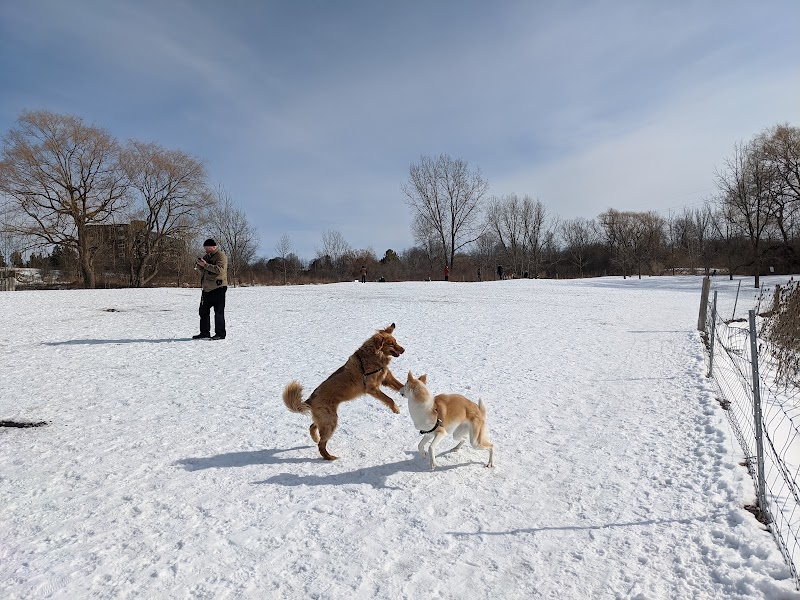 Caesars Dog Park dog park in London, Ontario