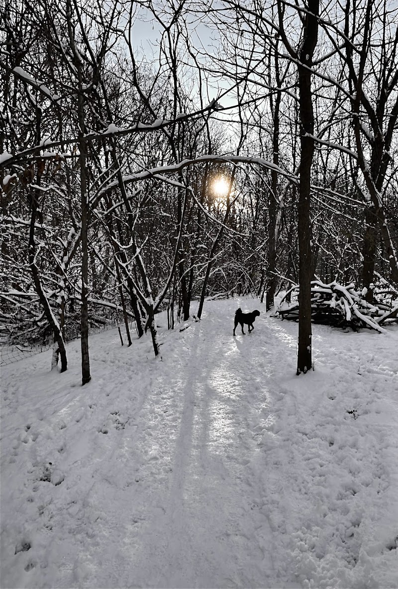 Greenway Off Leash Dog Park dog park in London, Ontario