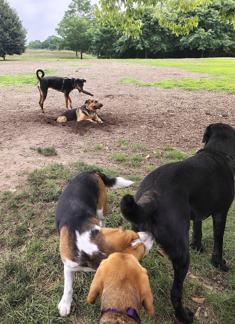 Greenway Off Leash Dog Park dog park in London, Ontario