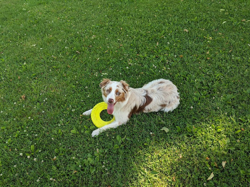 Thamesford Dog Park dog park in Thamesford, Ontario