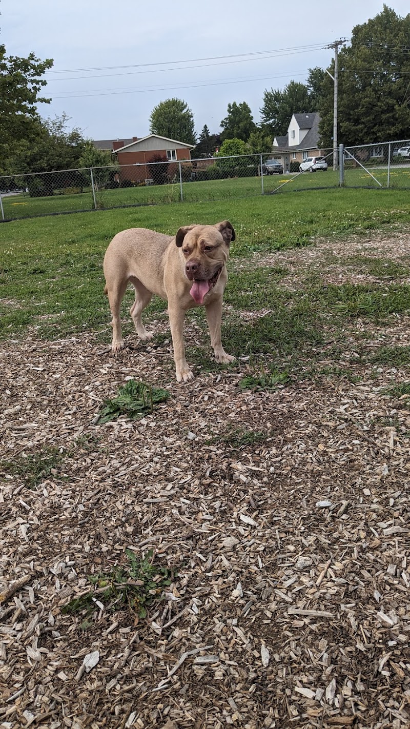 Goderich Dog Park dog park in Goderich, Ontario