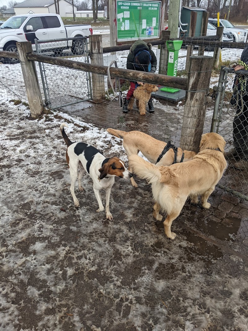 Strathroy-Caradoc Off Leash Dog Park dog park in Strathroy, Ontario