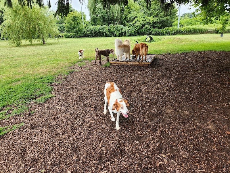 Strathroy-Caradoc Off Leash Dog Park dog park in Strathroy, Ontario