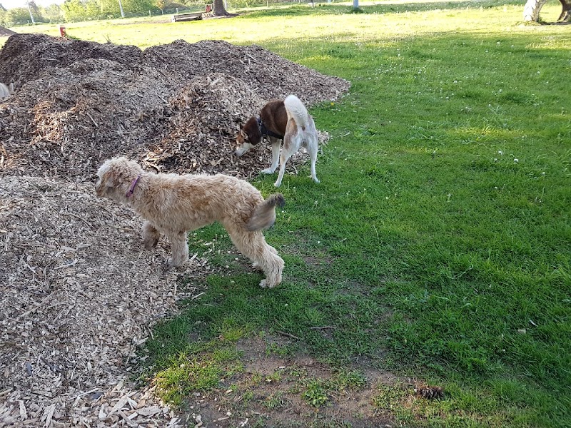 Strathroy-Caradoc Off Leash Dog Park dog park in Strathroy, Ontario