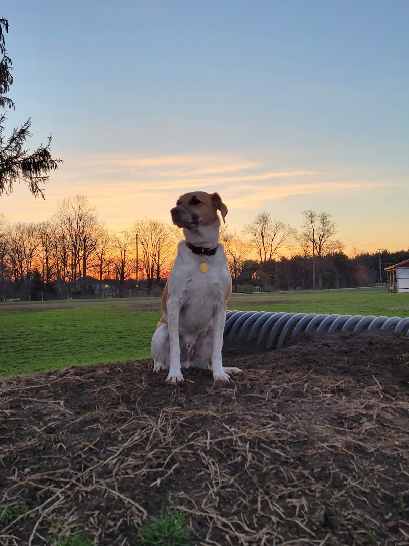 Strathroy-Caradoc Off Leash Dog Park dog park in Strathroy, Ontario