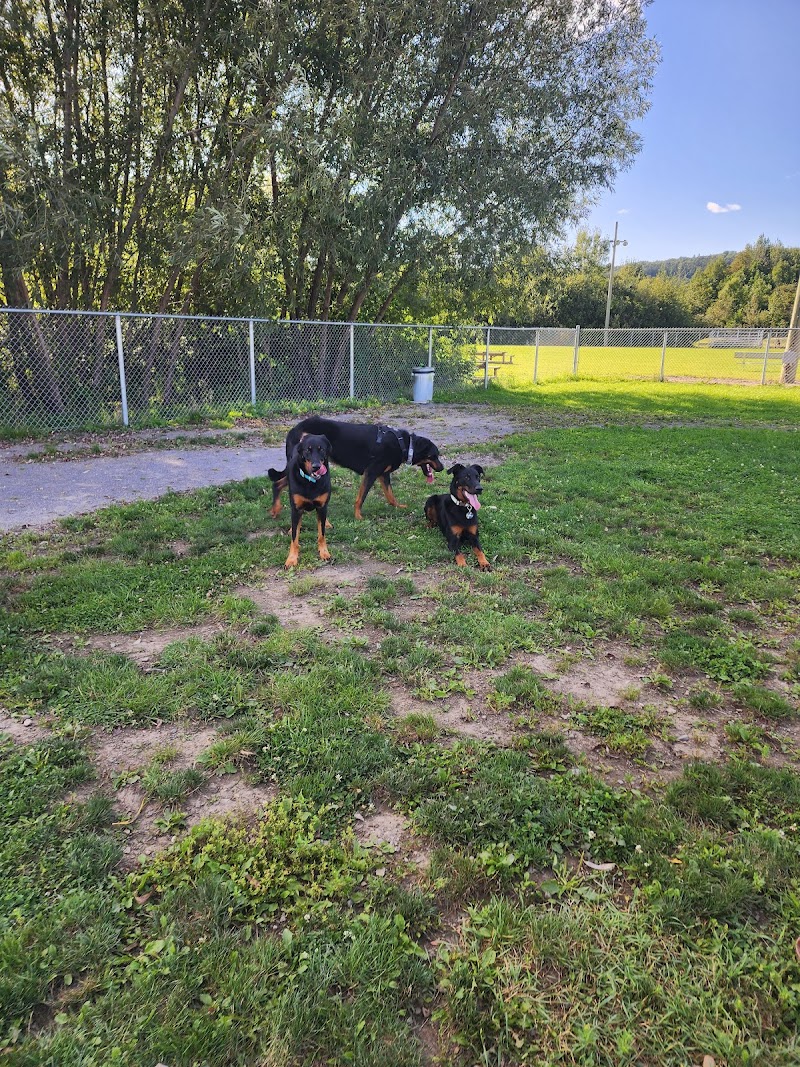 Château-Richer dog park dog park in Château-Richer, Quebec