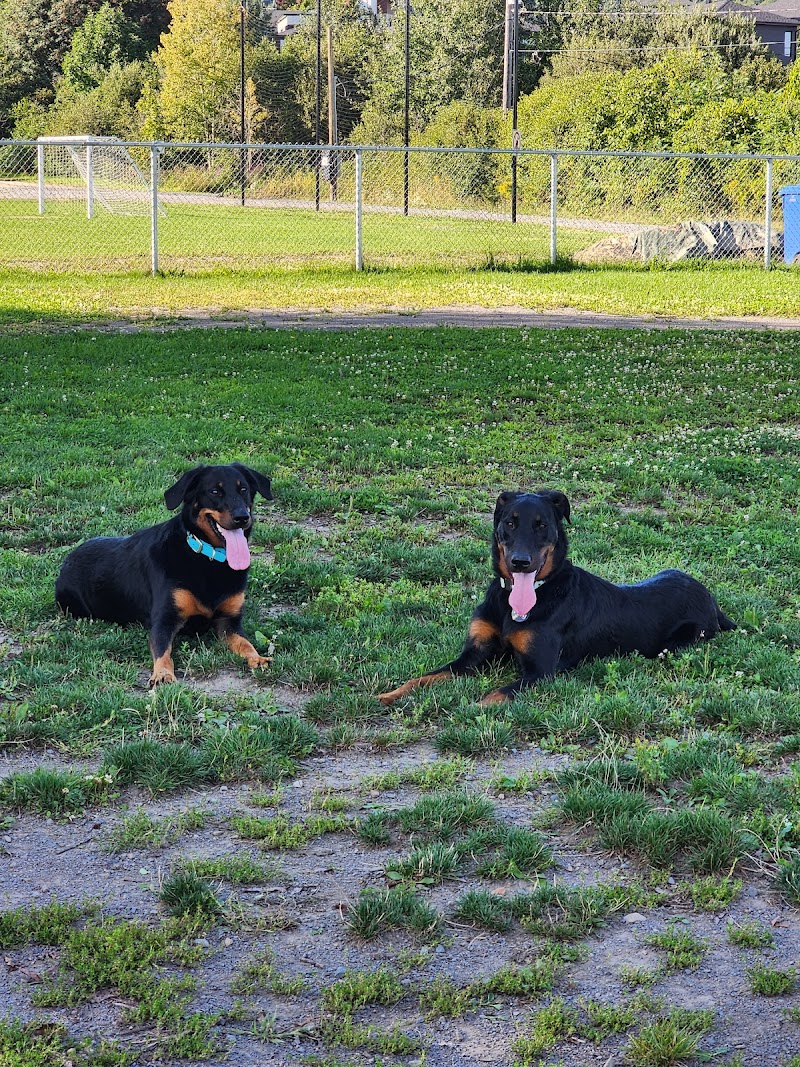 Château-Richer dog park dog park in Château-Richer, Quebec