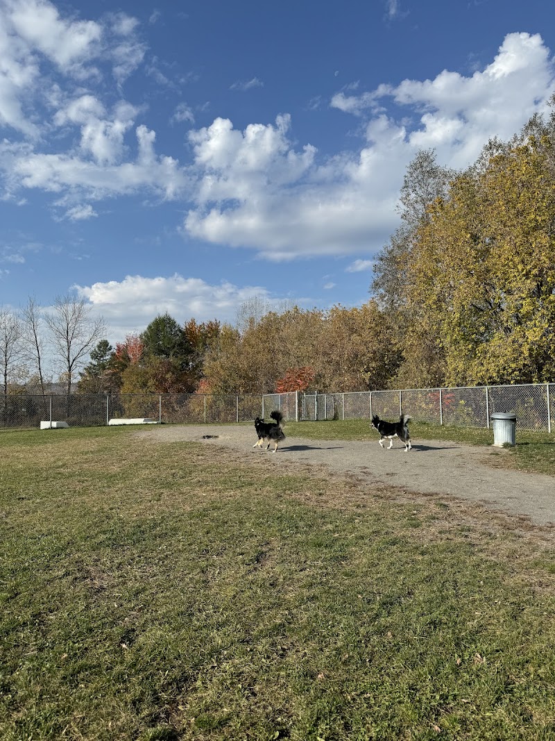 Château-Richer dog park dog park in Château-Richer, Quebec